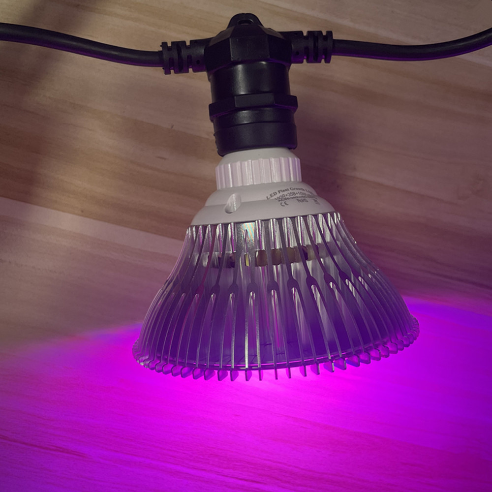 10M Cable LED String Commercia - огляд і ціна Outdoor Lighting Socket