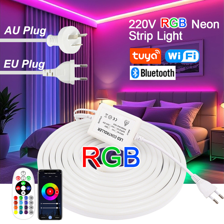 220V RGB LED Neon Strip with E - огляд і ціна Outdoor Lighting Timer Switch